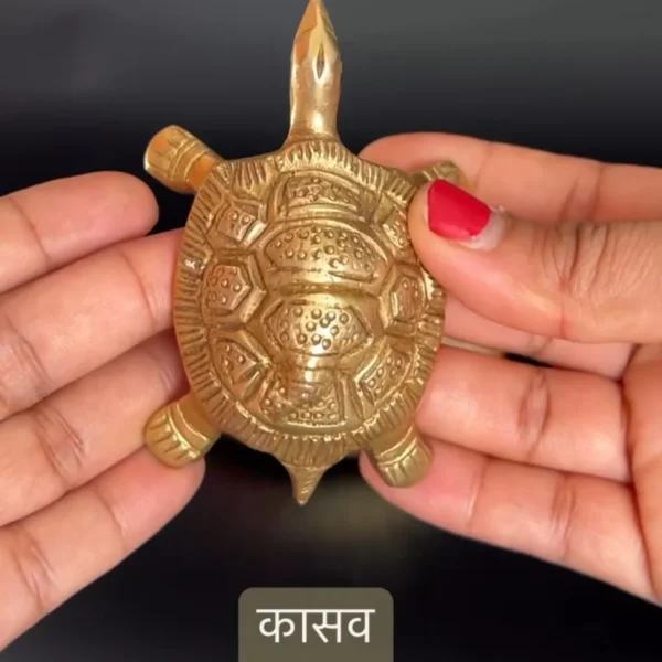 Tortoise